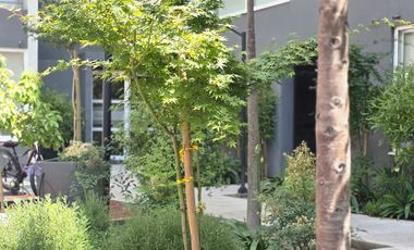 ARRIENDO DEPARTAMENTO EN RANCAGUA