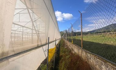 Terreno con Invernaderos · Infraestructura Lista para Operar