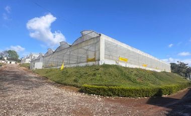 Terreno con Invernaderos · Infraestructura Lista para Operar
