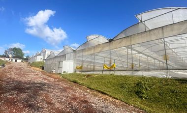 Terreno con Invernaderos · Infraestructura Lista para Operar