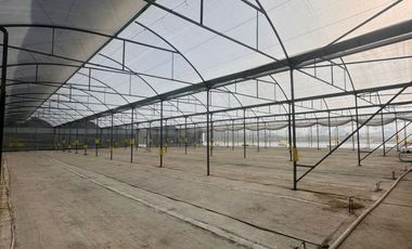 Terreno con Invernaderos · Infraestructura Lista para Operar
