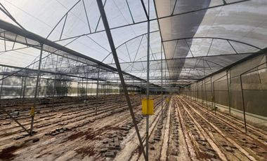 Terreno con Invernaderos · Infraestructura Lista para Operar