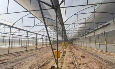 Terreno con Invernaderos · Infraestructura Lista para Operar