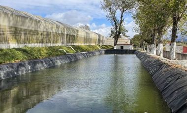 Terreno con Invernaderos · Infraestructura Lista para Operar