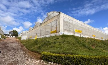 Terreno con Invernaderos · Infraestructura Lista para Operar