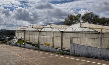 Terreno con Invernaderos · Infraestructura Lista para Operar