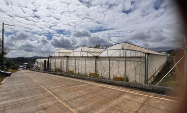 Terreno con Invernaderos · Infraestructura Lista para Operar