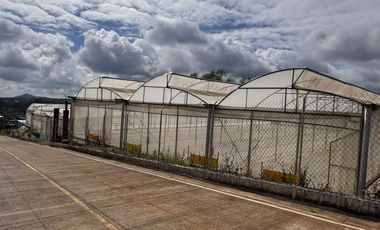 Terreno con Invernaderos · Infraestructura Lista para Operar