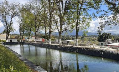 Terreno con Invernaderos · Infraestructura Lista para Operar