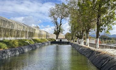 Terreno con Invernaderos · Infraestructura Lista para Operar
