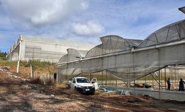 Terreno con Invernaderos · Infraestructura Lista para Operar
