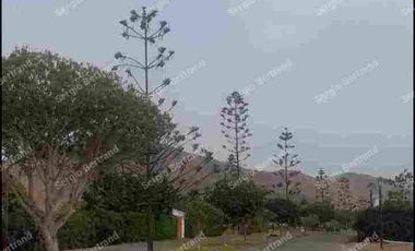 Vendo OPORTUNIDAD x Viaje HERMOSO TERRENO CAMPO/ para el  lado de la PLAYA bella y tranquila Puerto Viejo km 73.5 Sur Lima  Exclusivo CONDOMINO