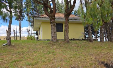 En Yanasacha en venta propiedad ganadera de 26mil metros cuadrados