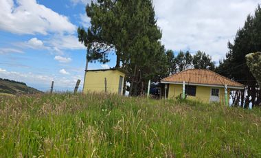 En Yanasacha en venta propiedad ganadera de 26mil metros cuadrados