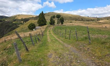 En Yanasacha en venta propiedad ganadera de 26mil metros cuadrados