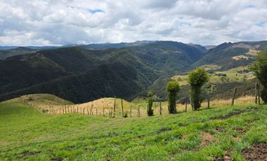 En Yanasacha en venta propiedad ganadera de 26mil metros cuadrados