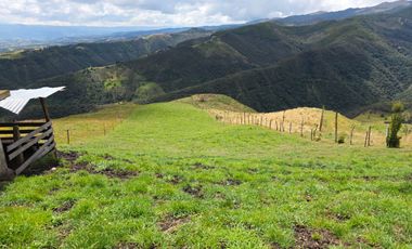 En Yanasacha en venta propiedad ganadera de 26mil metros cuadrados