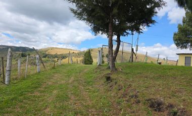 En Yanasacha en venta propiedad ganadera de 26mil metros cuadrados