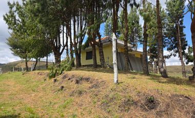 En Yanasacha en venta propiedad ganadera de 26mil metros cuadrados