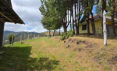 En Yanasacha en venta propiedad ganadera de 26mil metros cuadrados