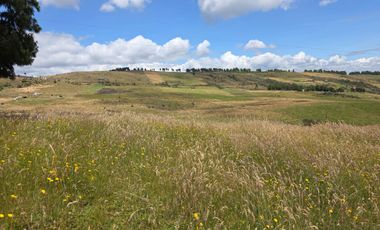 En Yanasacha en venta propiedad ganadera de 26mil metros cuadrados