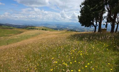 En Yanasacha en venta propiedad ganadera de 26mil metros cuadrados