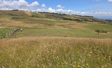 En Yanasacha en venta propiedad ganadera de 26mil metros cuadrados