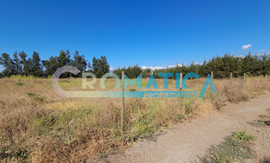 Venta Parcela 5.300 M2, Lo De Lobos, Rengo