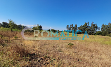 Venta Parcela 5.300 M2, Lo De Lobos, Rengo