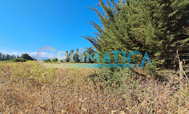 Venta Parcela 5.300 M2, Lo De Lobos, Rengo
