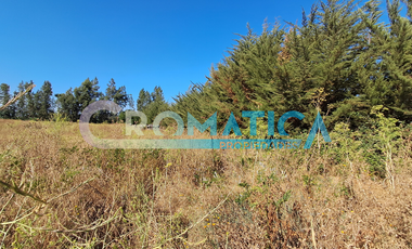 Venta Parcela 5.300 M2, Lo De Lobos, Rengo