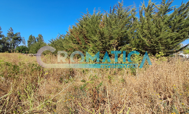 Venta Parcela 5.300 M2, Lo De Lobos, Rengo