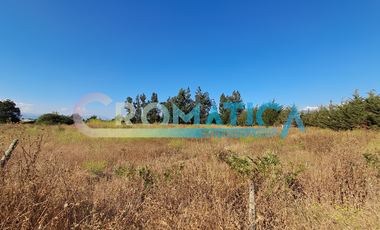 Venta Parcela 5.300 M2, Lo De Lobos, Rengo