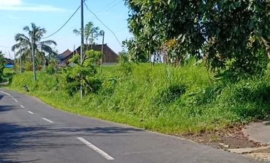 Tanah super murah di bedugul tabanan bali full view gunung dan danau