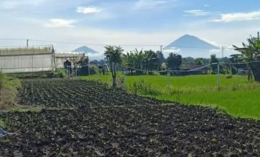 Tanah super murah di bedugul tabanan bali full view gunung dan danau