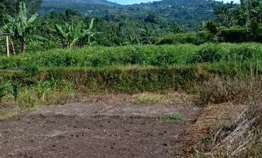 Tanah super murah di bedugul tabanan bali full view gunung dan danau