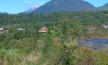 Tanah super murah di bedugul tabanan bali full view gunung dan danau