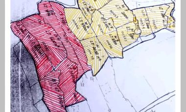 Tanah super murah di bedugul tabanan bali full view gunung dan danau