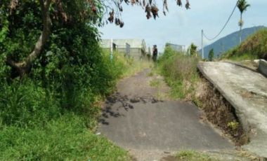 Tanah super murah di bedugul tabanan bali full view gunung dan danau
