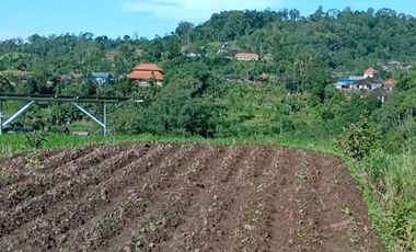 Tanah super murah di bedugul tabanan bali full view gunung dan danau