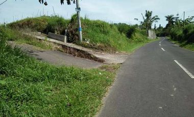 Tanah super murah di bedugul tabanan bali full view gunung dan danau