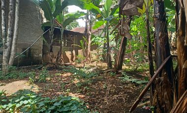 10 Tumbak Tanah Kebun Datar Siap bangun Masuk Gang, Galudra, Cilame, Ngamprah,Bandung Barat