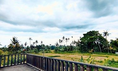 AMS-025.ASR 🌿 For Sale Villa Rice Field Views and Villages Environment Pering Blahbatuh – Gianyar