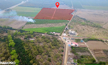 Terreno Estratégico de 4.178 Ha con Alto Potencial de Desarrollo – Huaral