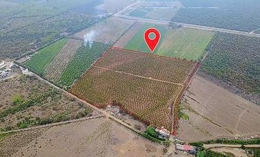 Terreno Estratégico de 4.178 Ha con Alto Potencial de Desarrollo – Huaral
