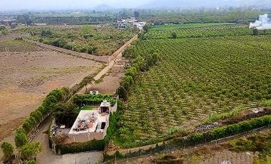 Terreno Estratégico de 4.178 Ha con Alto Potencial de Desarrollo – Huaral