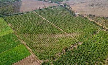 Terreno Estratégico de 4.178 Ha con Alto Potencial de Desarrollo – Huaral