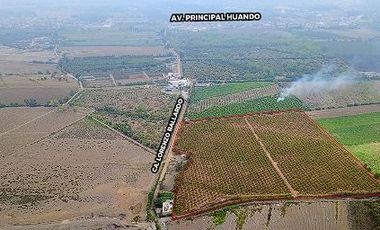 Terreno Estratégico de 4.178 Ha con Alto Potencial de Desarrollo – Huaral