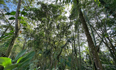casa campestre en condominio en la vereda el cairo