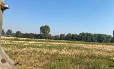 Parcela en venta - excelente inversión 1.5 hectáreas - 1ha cultivable - PRECIO REBAJADO!!